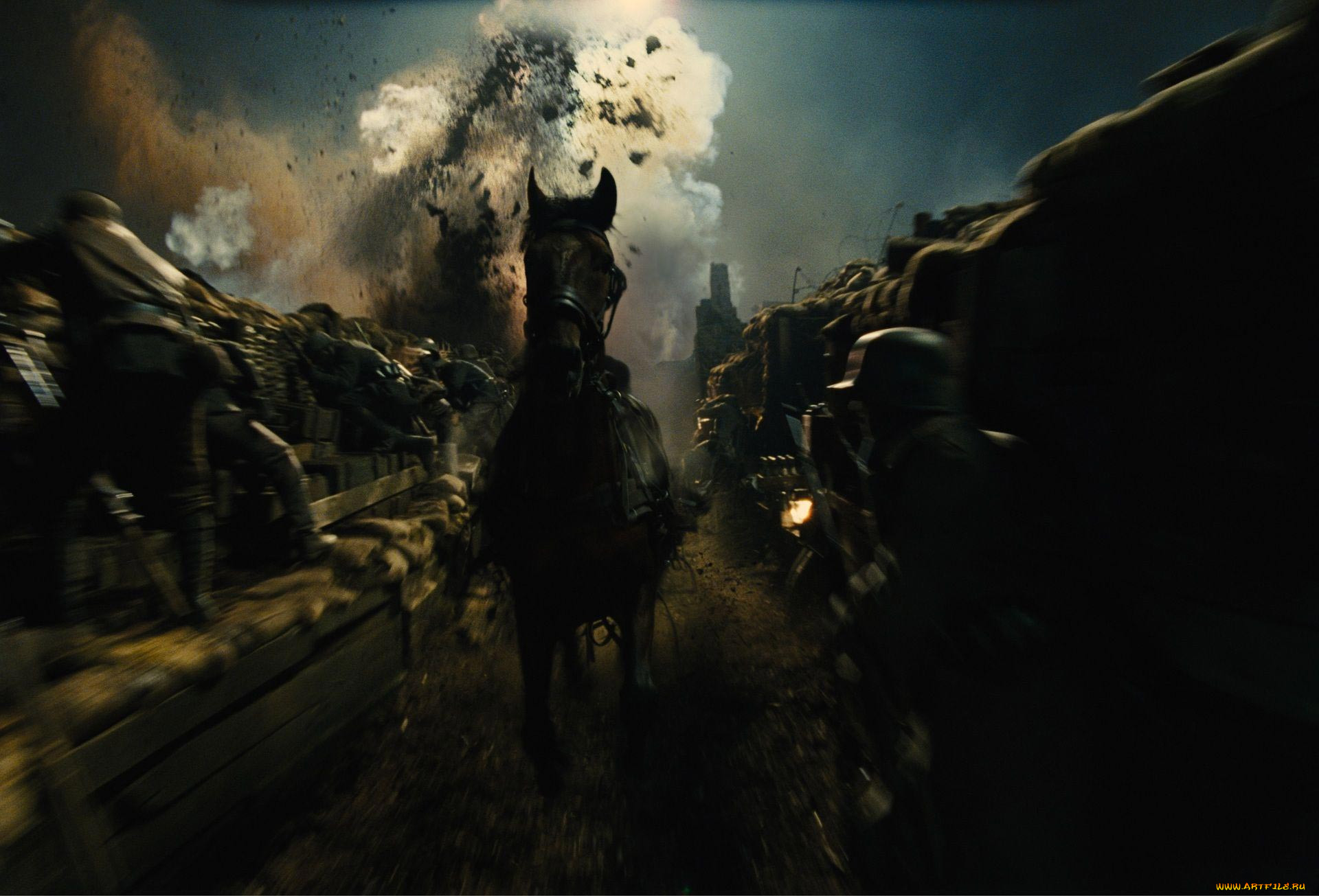 war, horse, , , , 